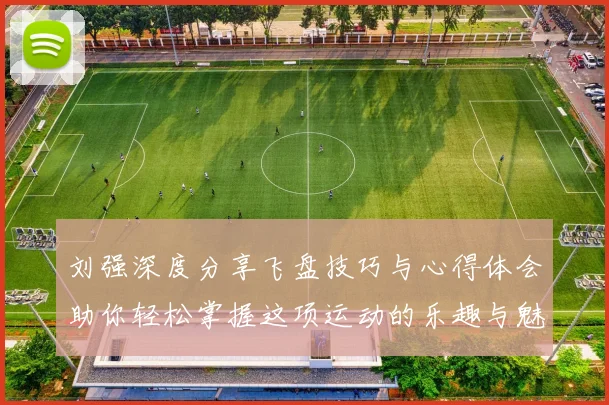 刘强深度分享飞盘技巧与心得体会助你轻松掌握这项运动的乐趣与魅力