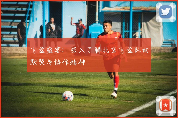 飞盘盛宴：深入了解北京飞盘队的默契与协作精神