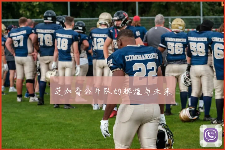 芝加哥公牛队的辉煌与未来