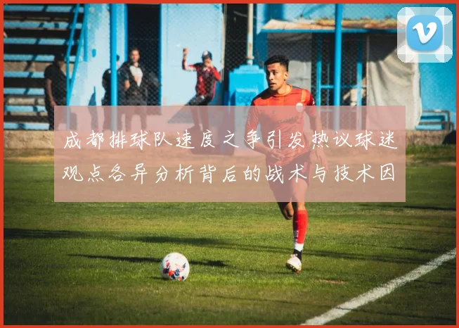 成都排球队速度之争引发热议球迷观点各异分析背后的战术与技术因素