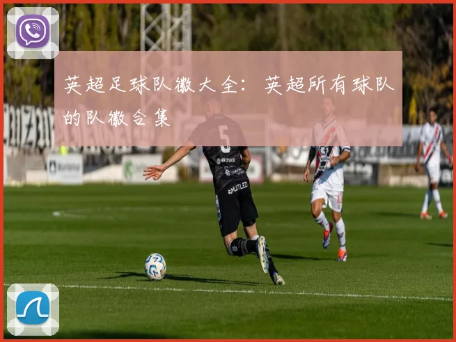 英超足球队徽大全：英超所有球队的队徽合集